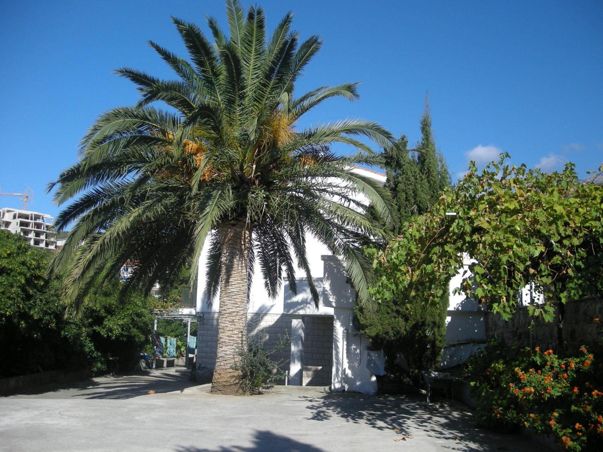 Apartments Becic Budva Eksteriør bilde